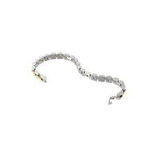 Load image into Gallery viewer, Dainty Watch Band, Two Tone
